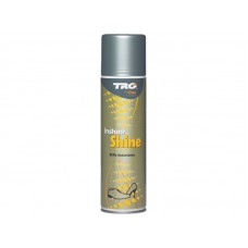 INSTANT SHINE 250 ml